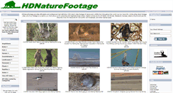 Desktop Screenshot of hdnaturefootage.net